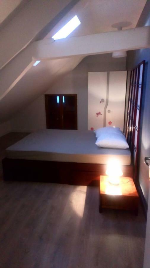 La Ferté-Gaucher Maison Duplex & Appartement Sur Cour מראה חיצוני תמונה